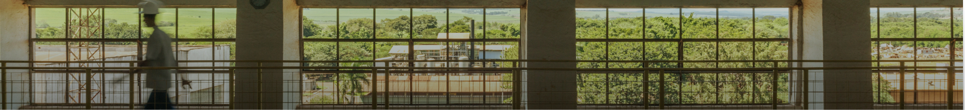 Meio Ambiente - Programas